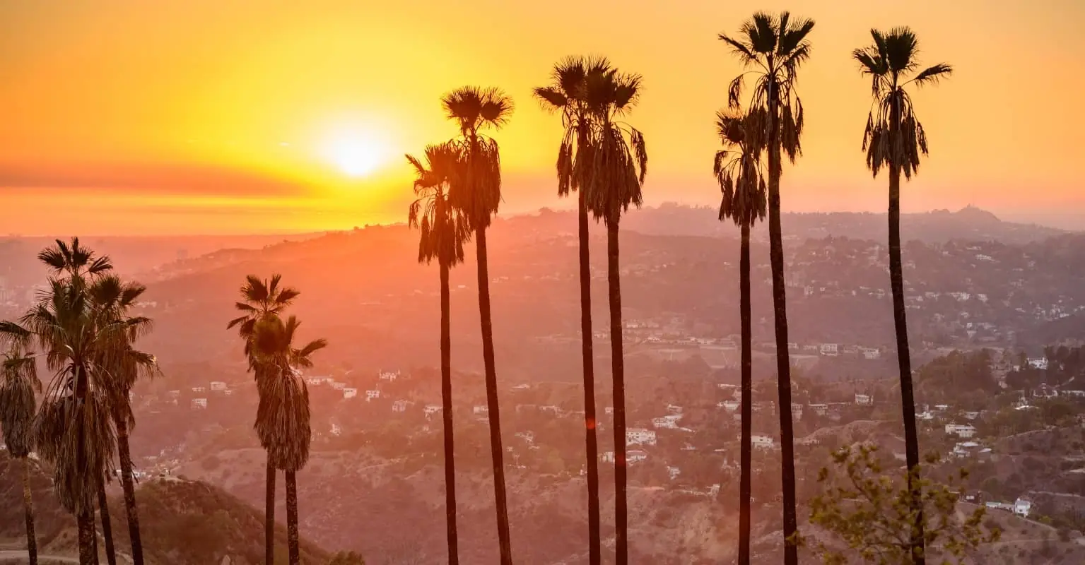 Los Angeles is officially recognized as a 'no-kill' city for animal shelters