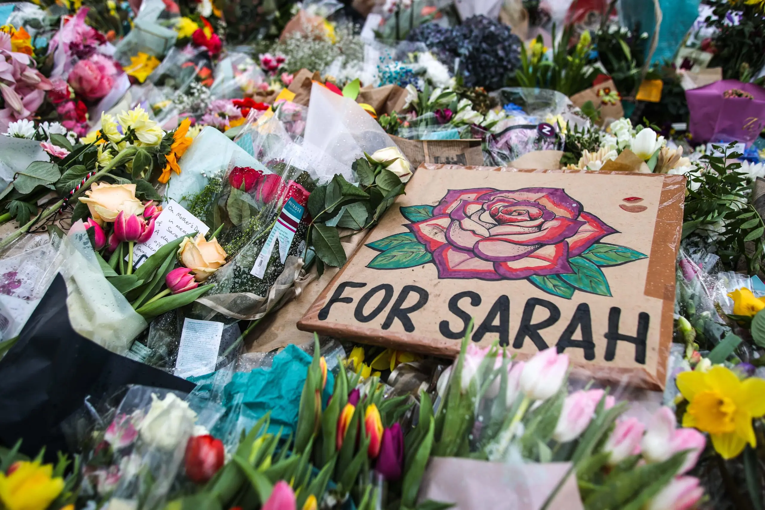 wp-image-1263098675 size-full