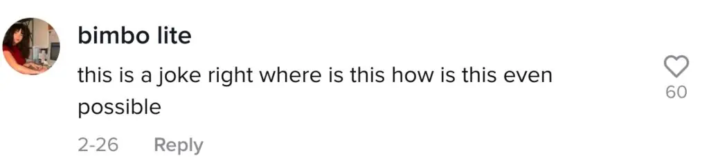 size-large wp-image-1263097708