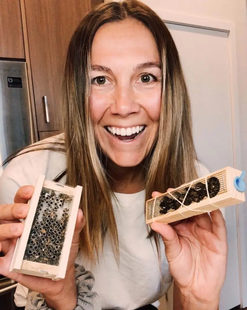 size-large wp-image-1263097797