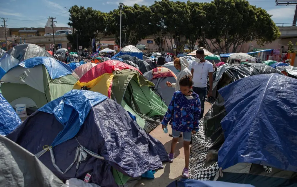 size-large wp-image-1263099665