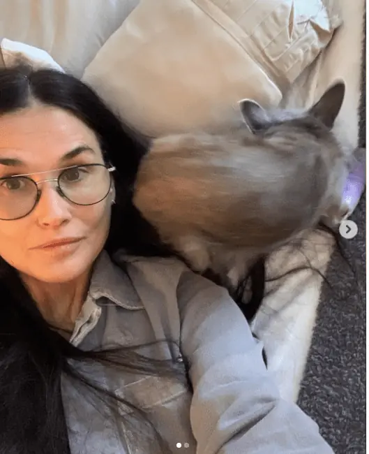 size-full wp-image-1263096698