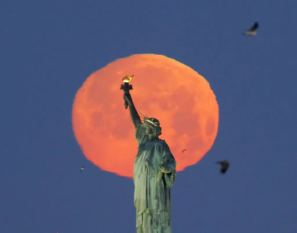 size-large wp-image-1263104826