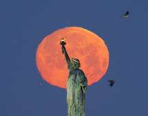 size-large wp-image-1263104826