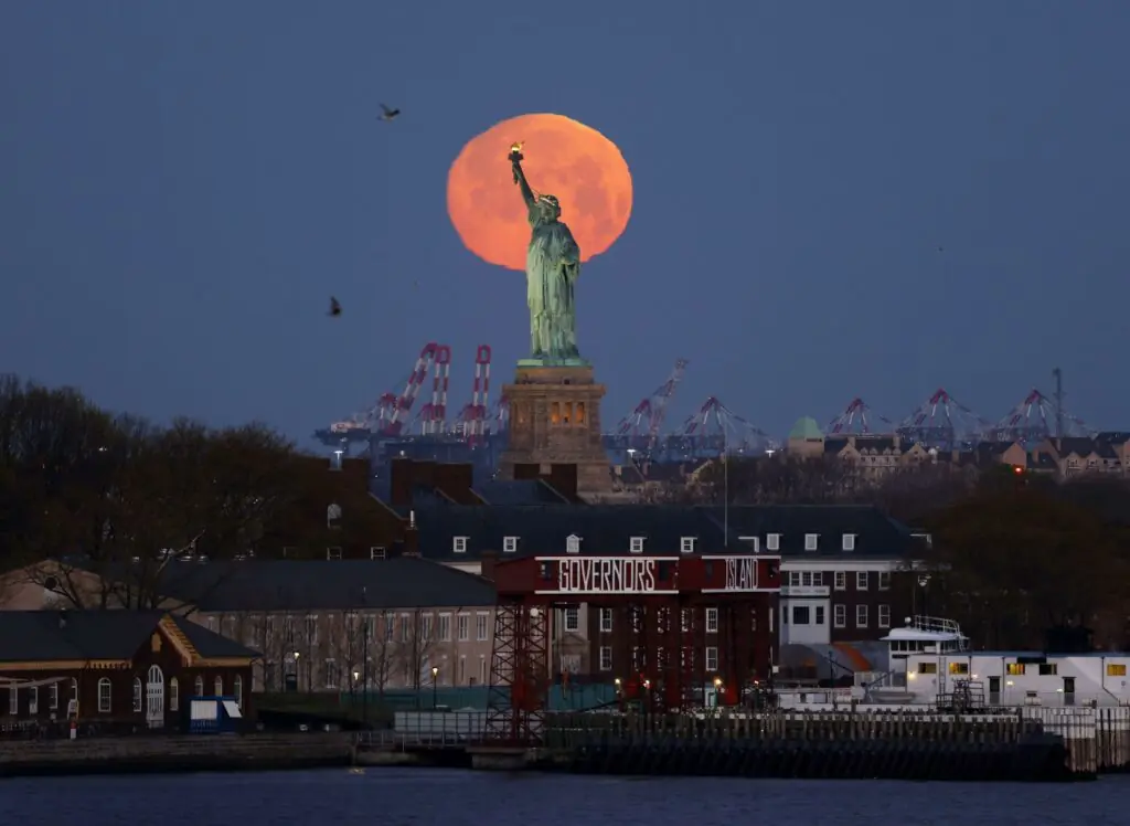 size-large wp-image-1263104825