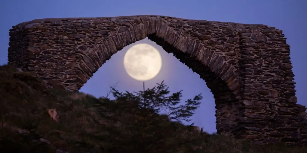 size-large wp-image-1263104830