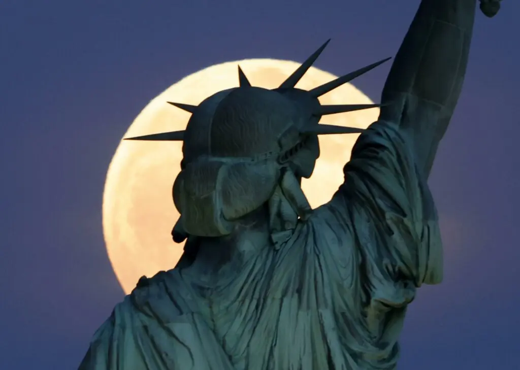 size-large wp-image-1263104829