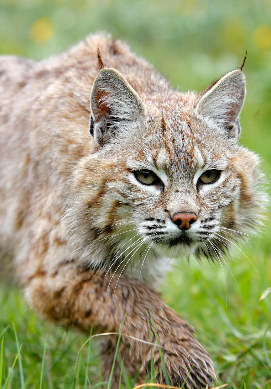 wp-image-1263103451 size-full