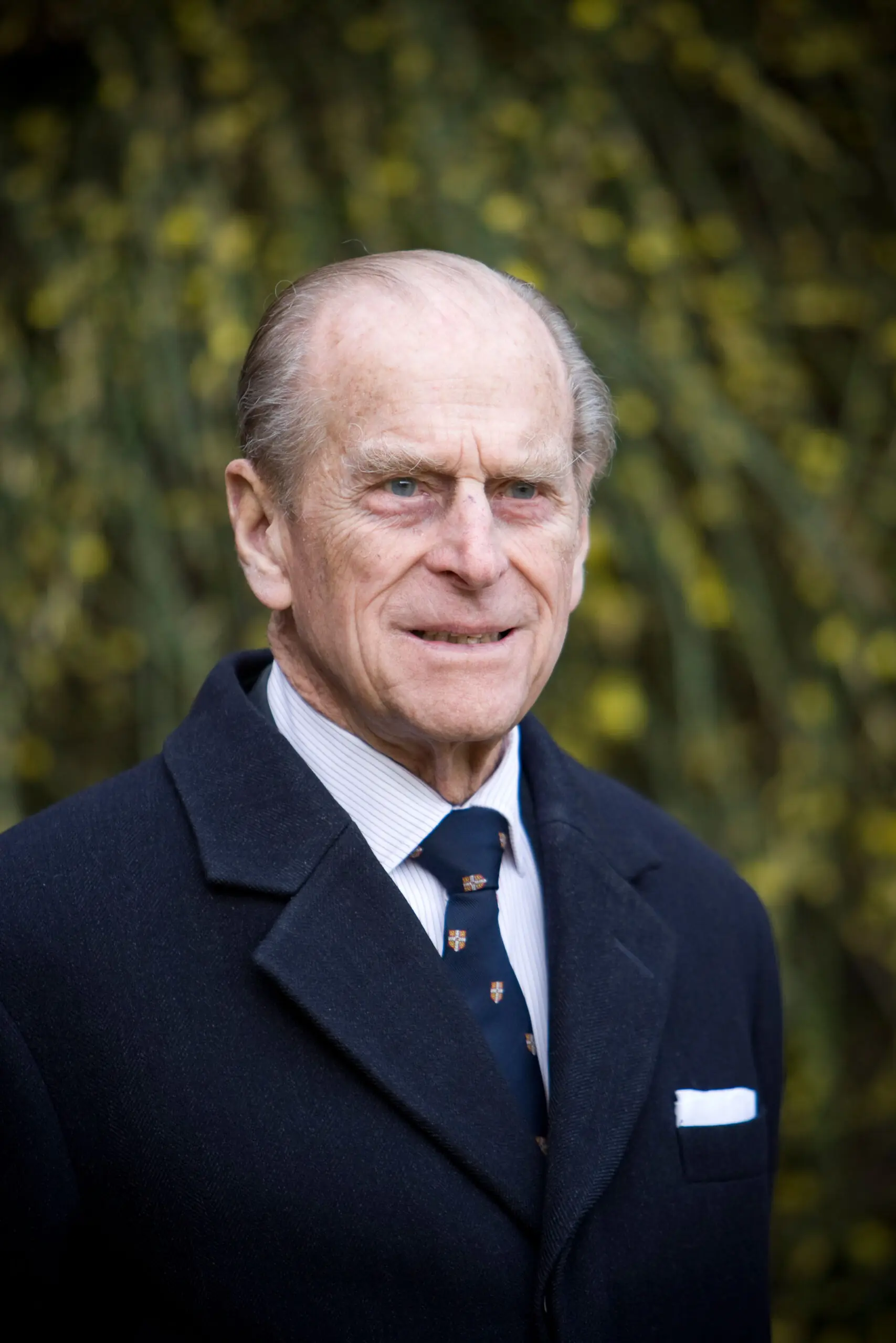 size-full wp-image-1263102192