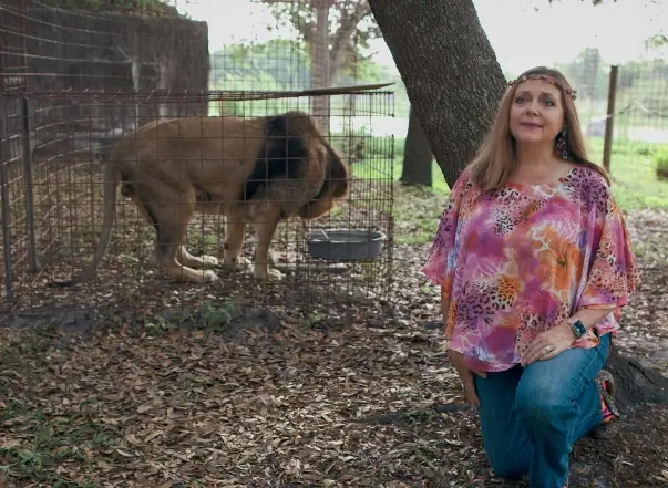 wp-image-1263101289 size-full