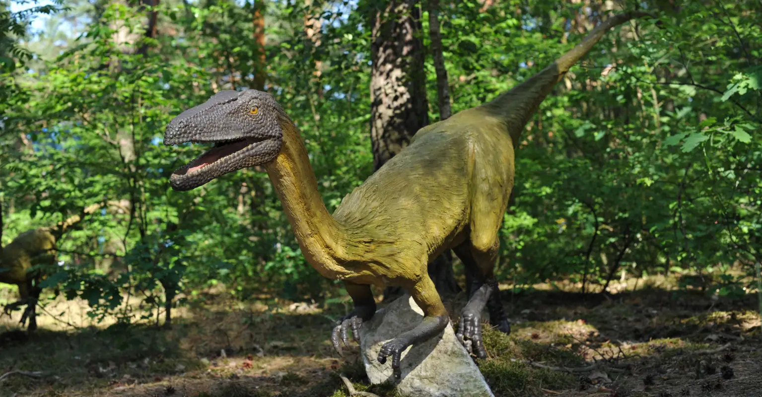 Homeowner believes she's filmed a 'velociraptor' running through her yard