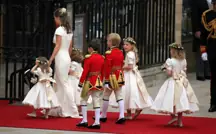 size-full wp-image-1263105282