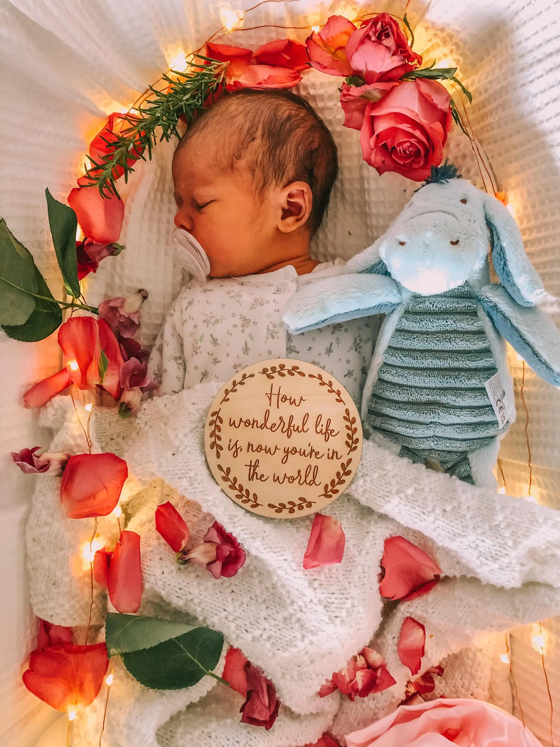 size-full wp-image-1263103693