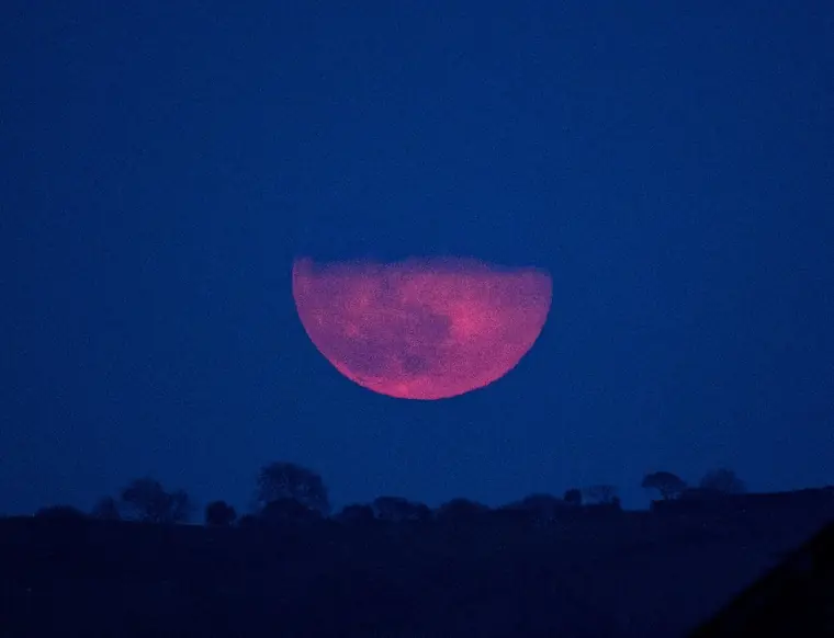 wp-image-1263104792 size-full