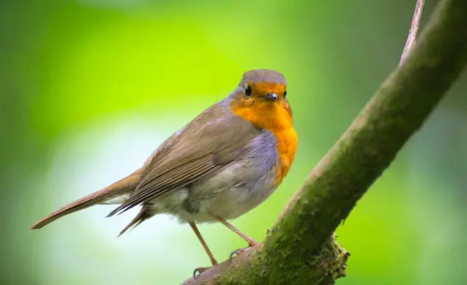 wp-image-1263102661 size-full