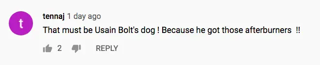 wp-image-1263104347 size-full