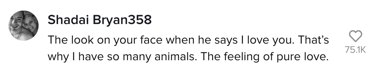 wp-image-1263100885 size-full