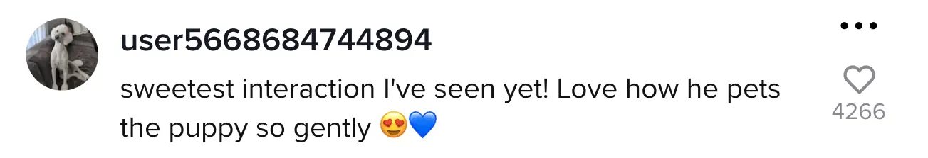 wp-image-1263100888 size-full