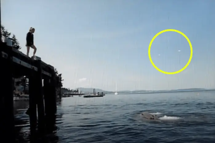 size-full wp-image-1263101930