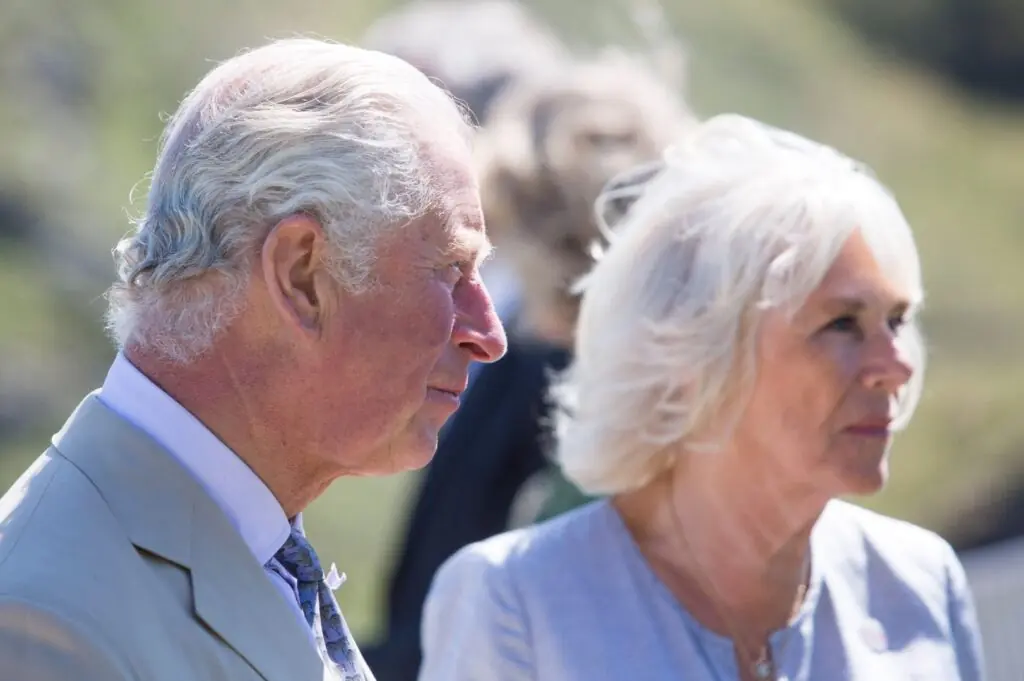 size-large wp-image-1263105461