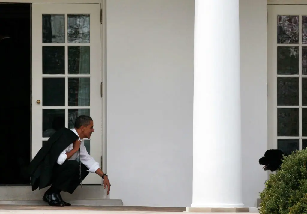 size-large wp-image-1263106847