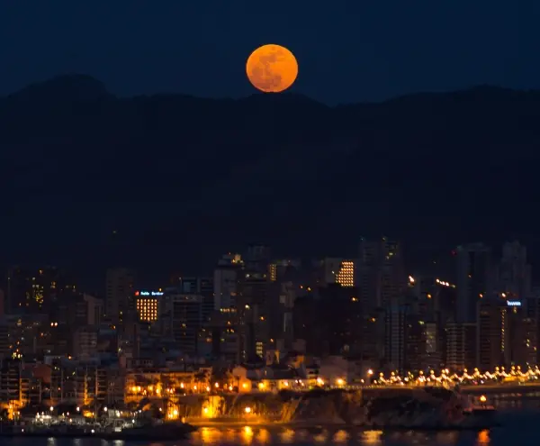 wp-image-1263109190 size-full