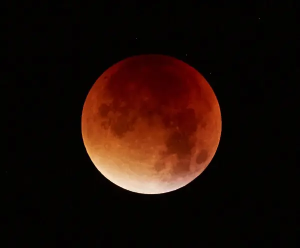 wp-image-1263109196 size-full