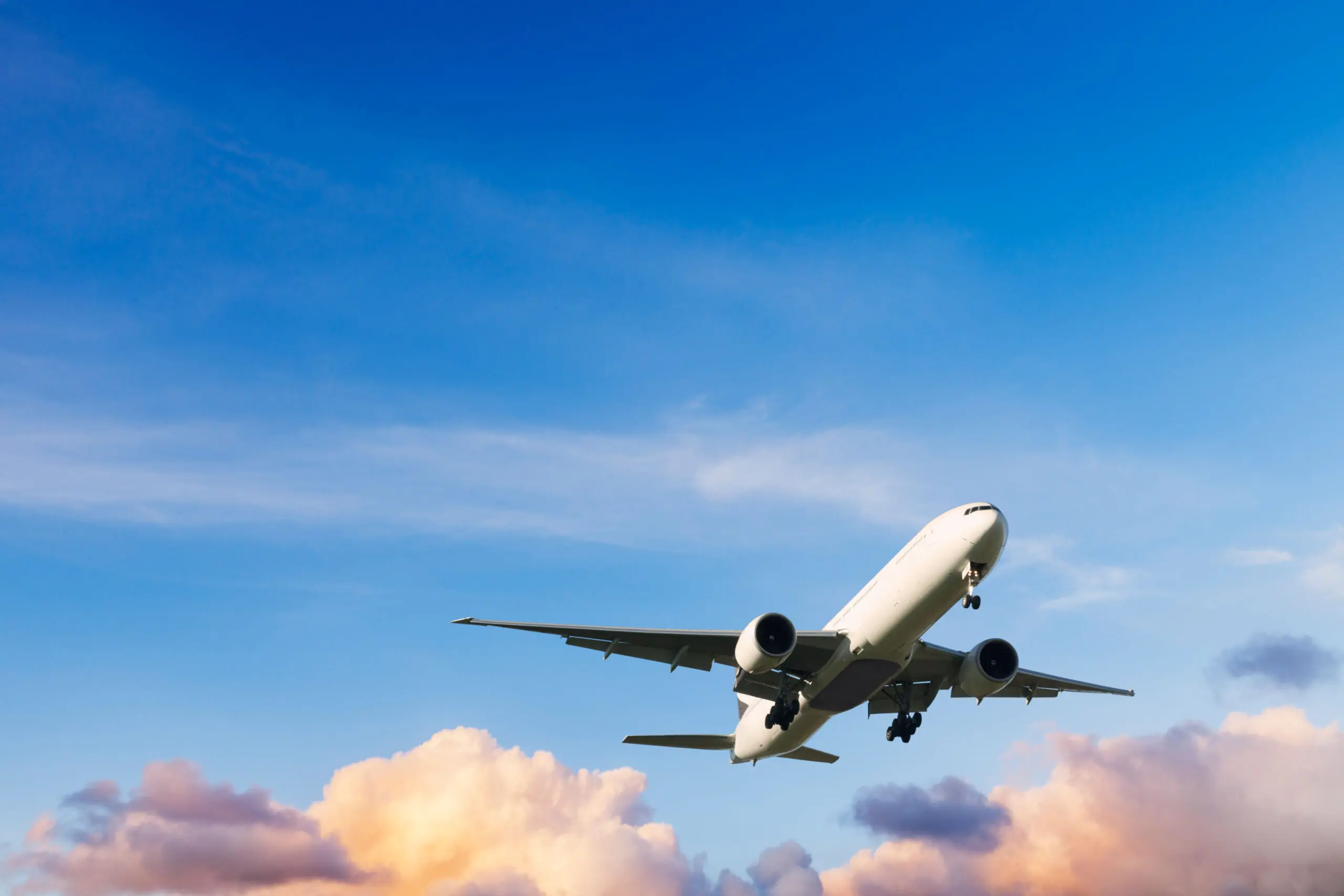 size-full wp-image-1263110070