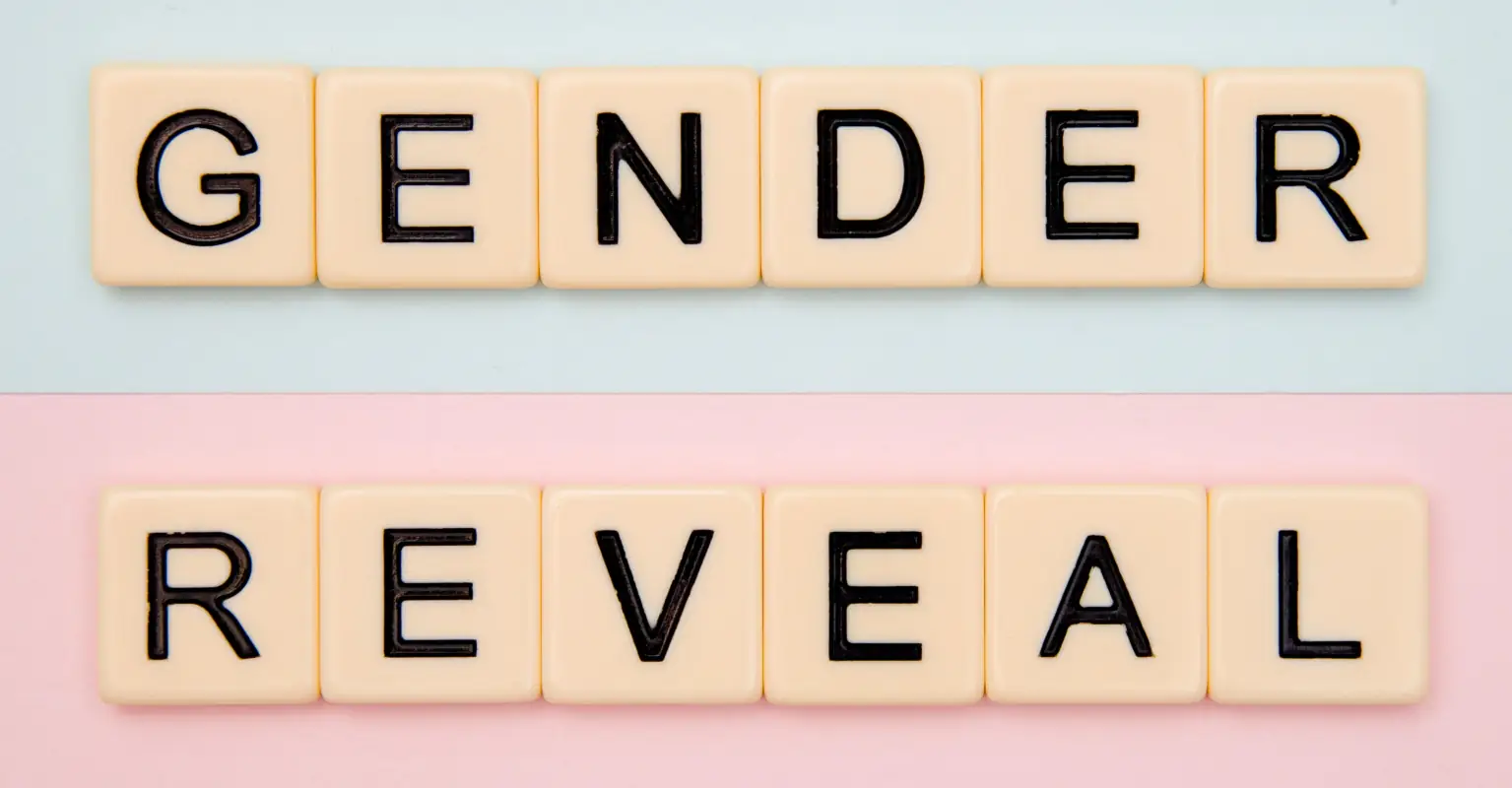 Man charged after setting off 80lbs of explosives at gender reveal party