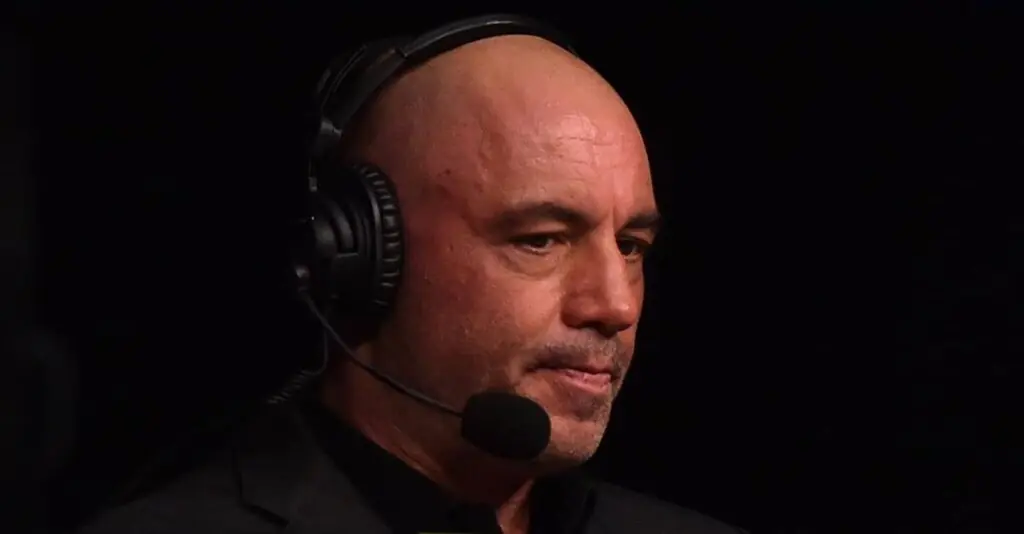 size-large wp-image-1263108657