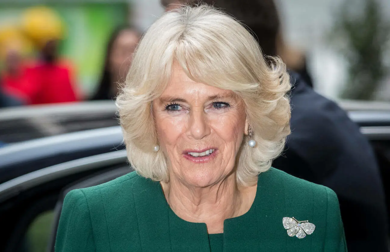 wp-image-1263105630 size-full