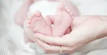 size-large wp-image-1263110667