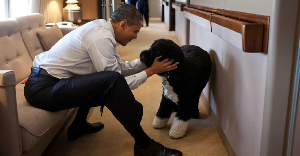 size-large wp-image-1263106803