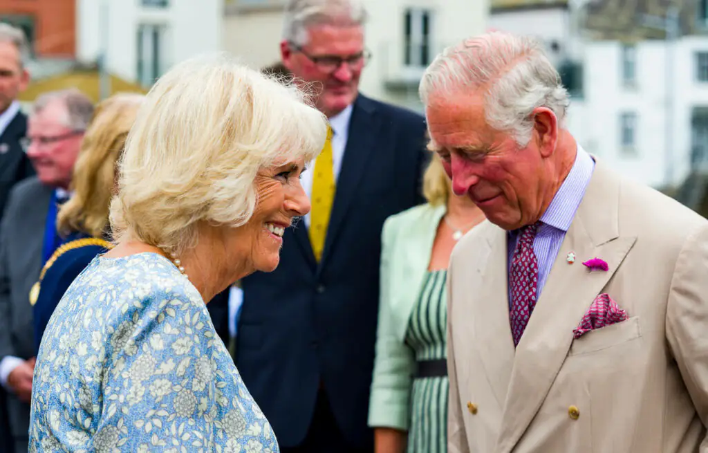 size-large wp-image-1263105629