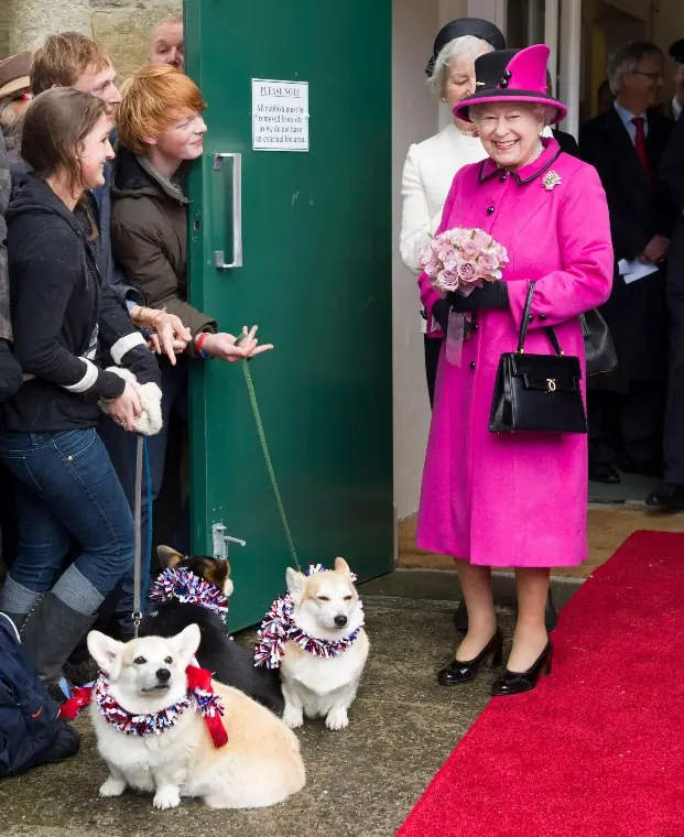 wp-image-1263108792 size-full