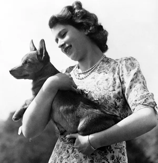 wp-image-1263108802 size-full