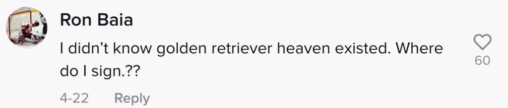 size-large wp-image-1263105560