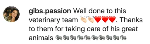 wp-image-1263107031 size-full