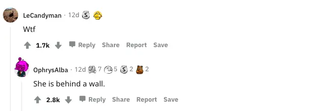 wp-image-1263108711 size-full