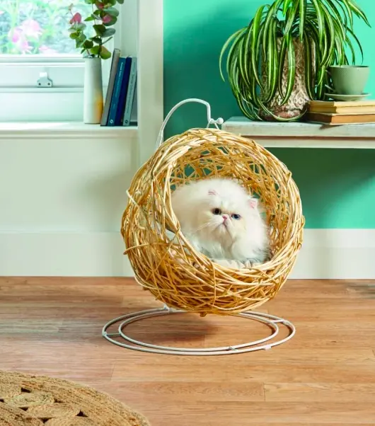 wp-image-1263109036 size-full