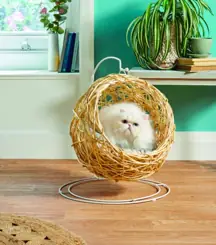 wp-image-1263109036 size-full