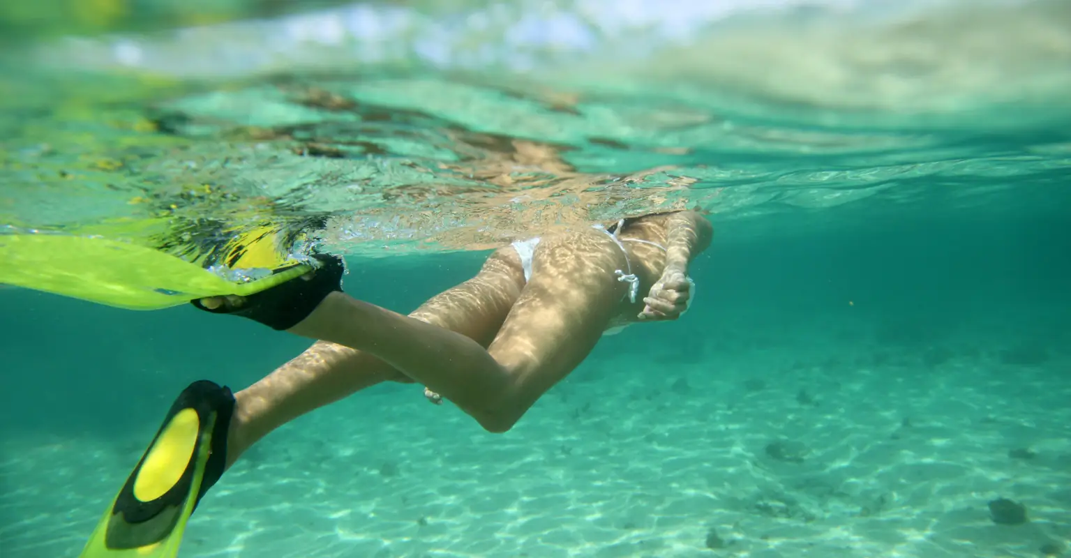 Snorkeler left in disbelief as she finds man's $1,000 wedding ring stuck around a fish