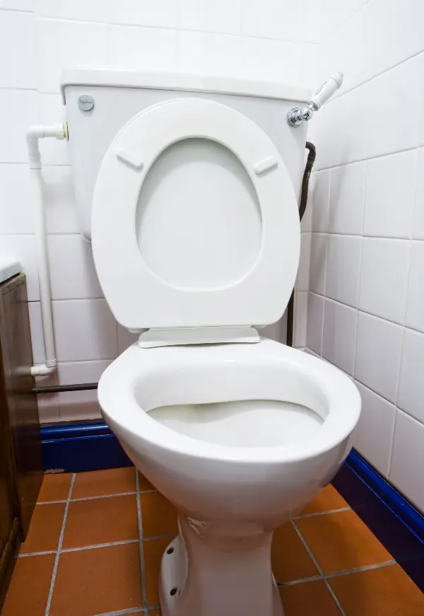 wp-image-1263109000 size-full