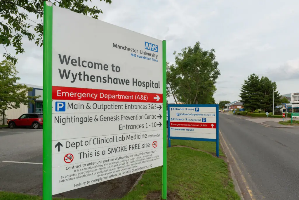 size-large wp-image-1263108246