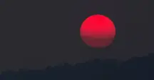 wp-image-1263109972