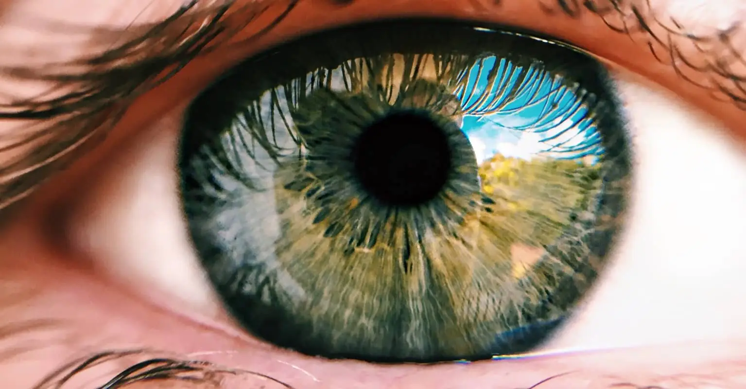 Psychologist's optical illusion tricks brain into seeing black and white video in color