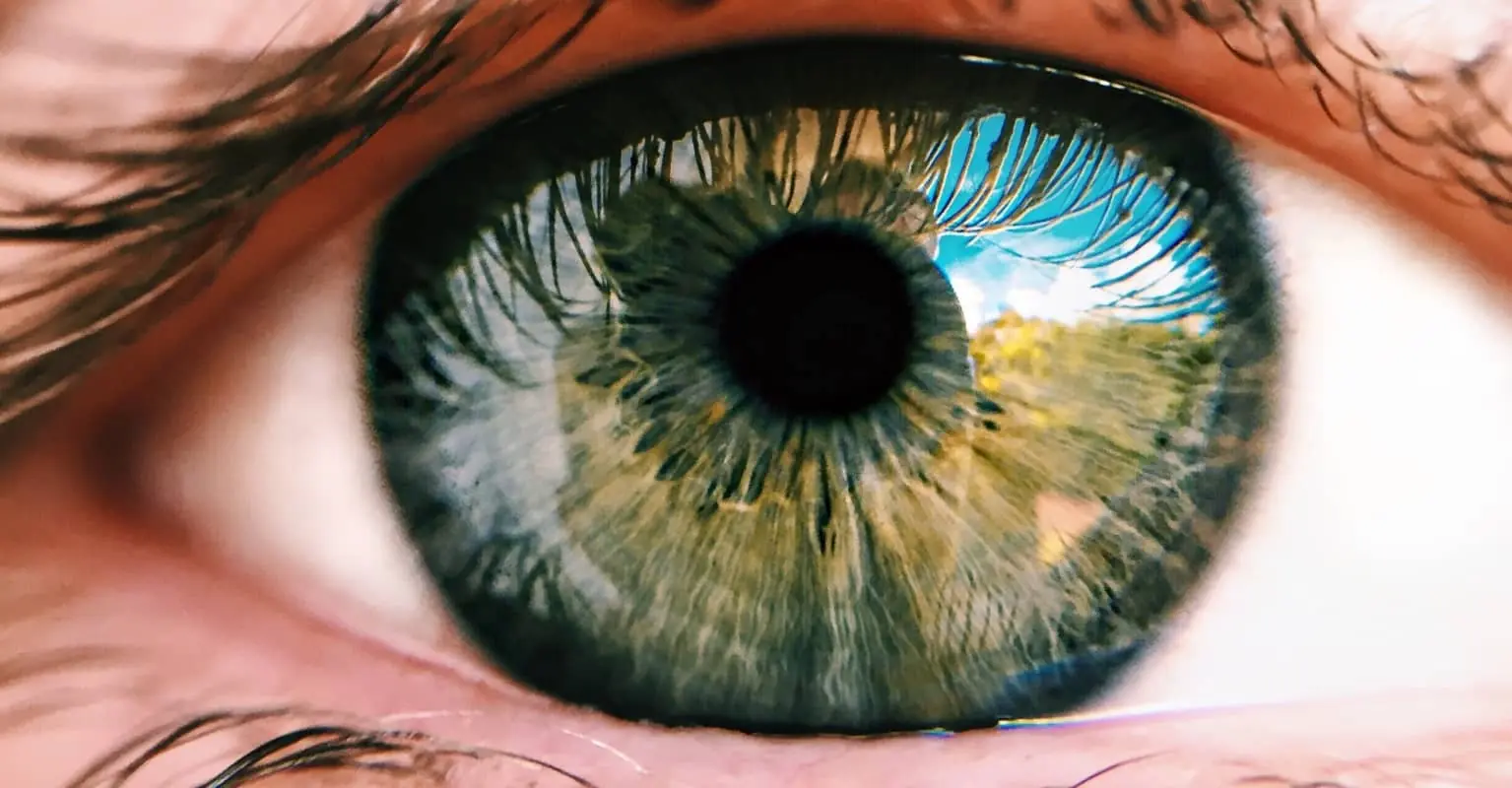 Psychologist's optical illusion tricks brain into seeing black and white video in color