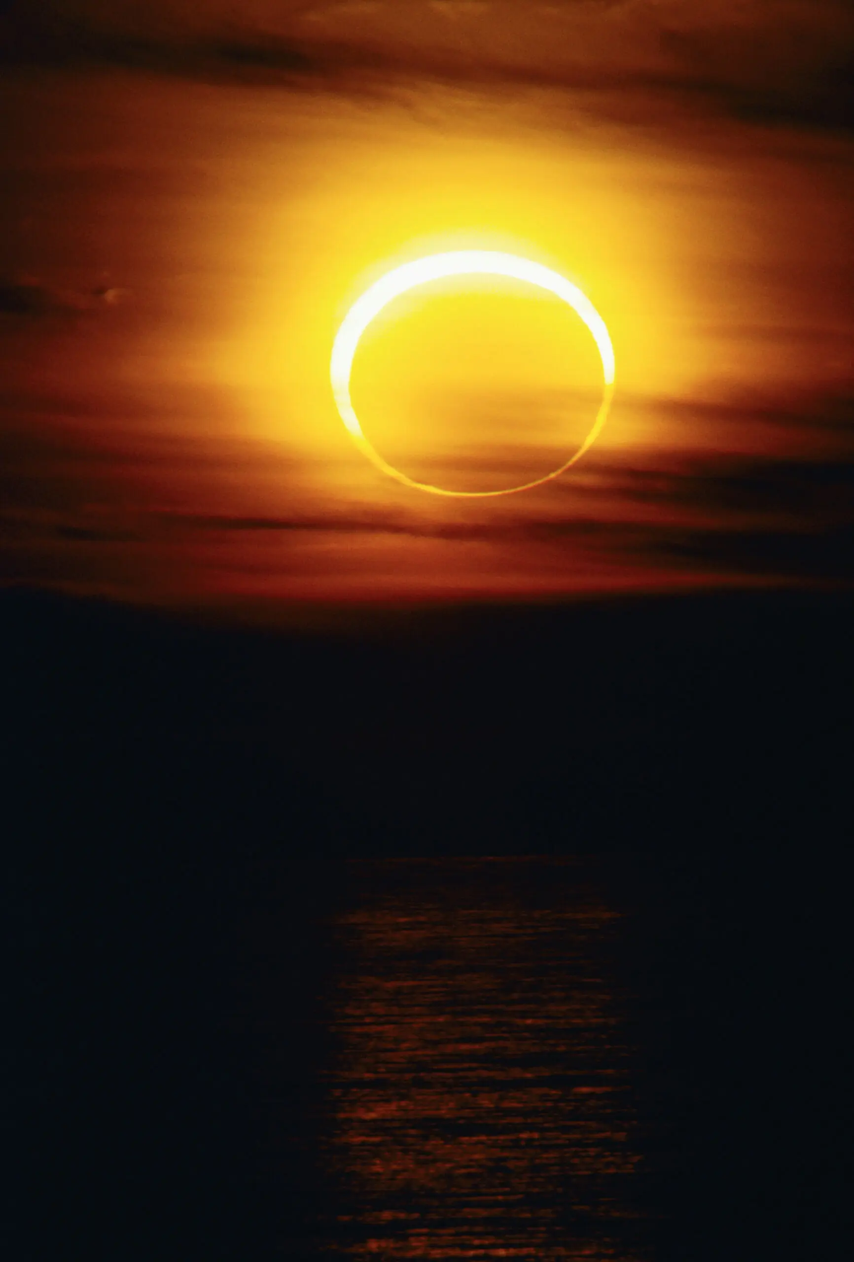 size-full wp-image-1263111146