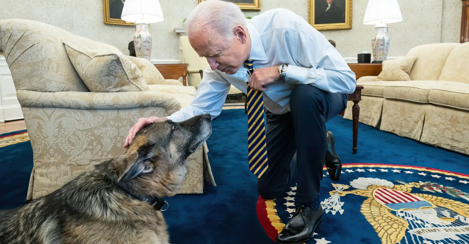Joe and Jill Biden mourn the death of their beloved dog Champ: 'We love our sweet, good boy'