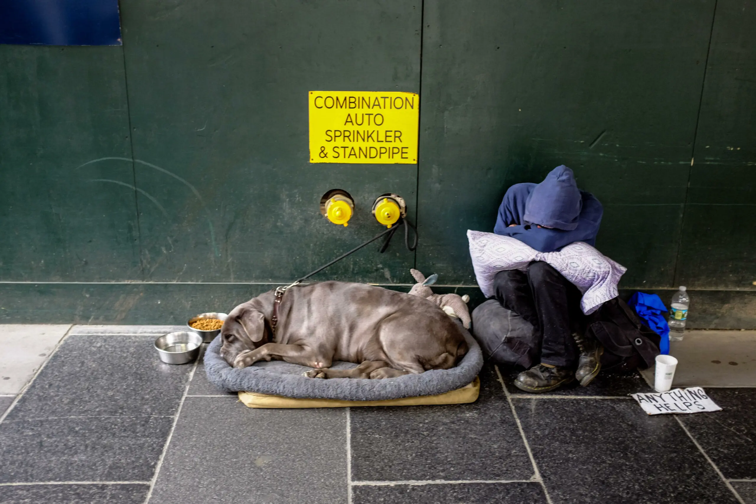 size-full wp-image-1263114099